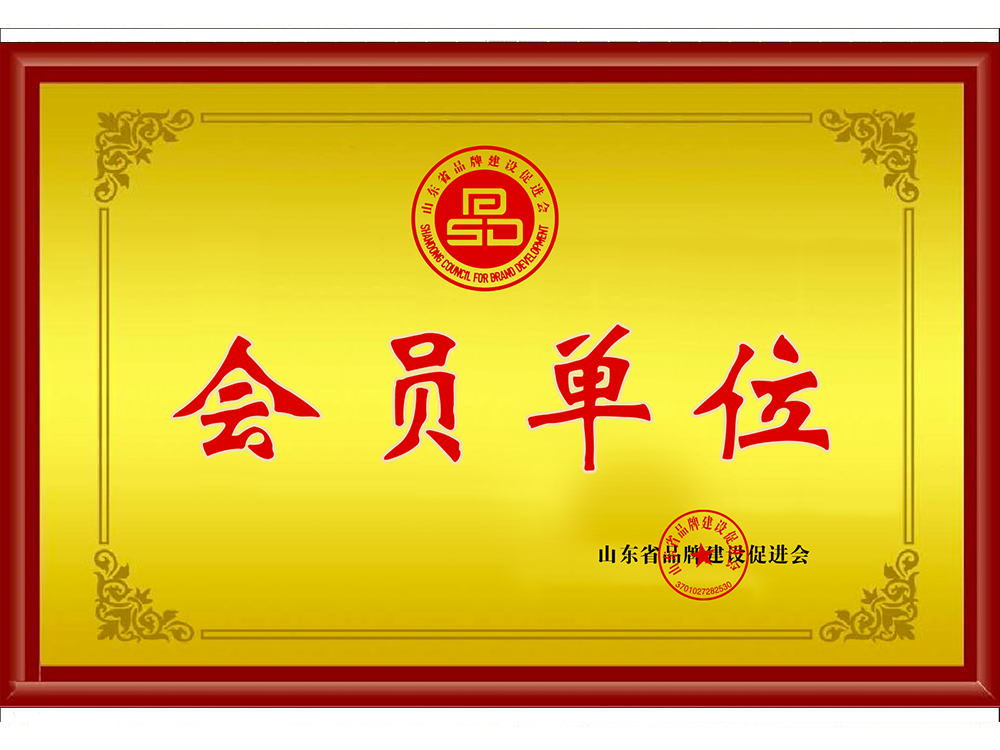 Shandong Brand Construction Promotion Association